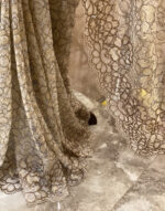 Chantilly Lace saree