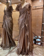 Tissue Organza Saree & lace border patch