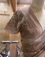 Tissue Organza Saree & lace border patch