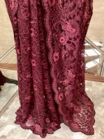 Chantilly Lace Saree - Image 4